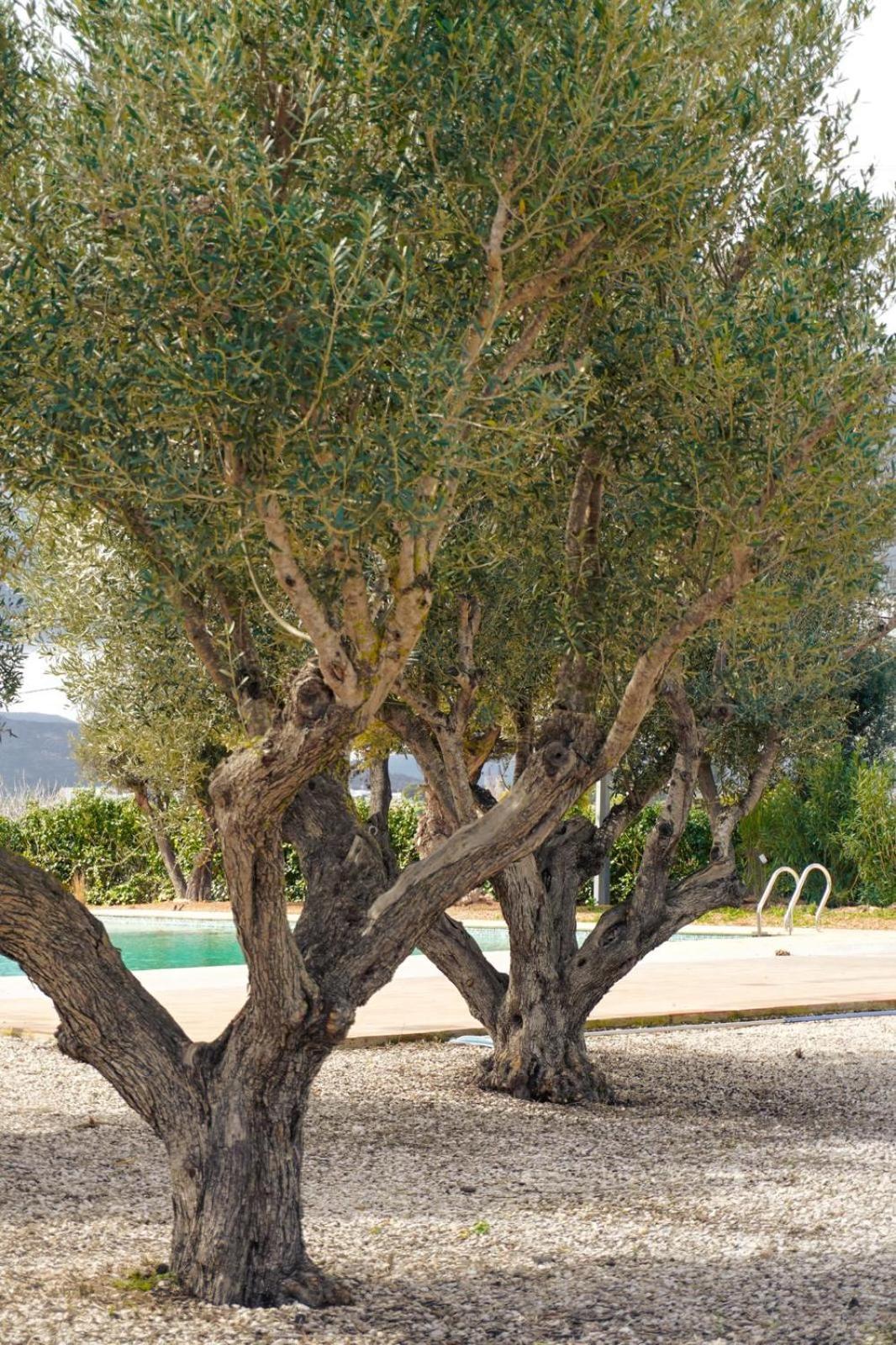Hotel Finca Olivar Benissa Zewnętrze zdjęcie